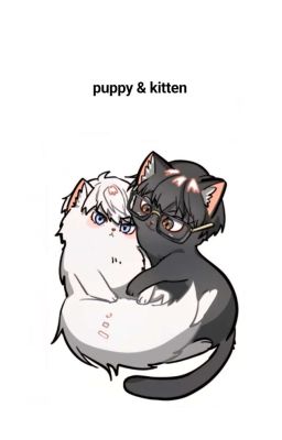 gawool | puppy & kitten