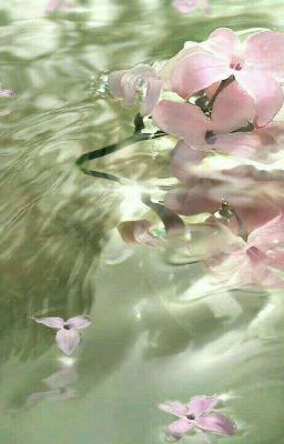 gen22 | peanut  ִ ࣪𖤐 detective chenchi.