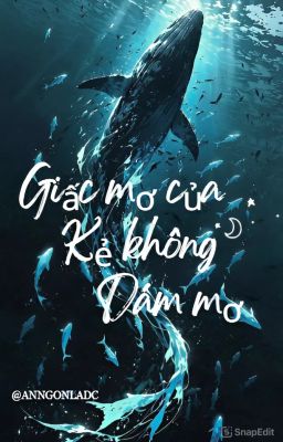 Giấc Mơ Của Kẻ Không Dám Mơ