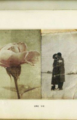 Giữa giấc mộng Thu 
