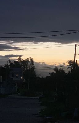 Giữa hai bờ sinh tử (sihae)