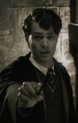 Giữa Hai Chiến Tuyến [Y/N Grindelwald x Tom Riddle/Voldemort]