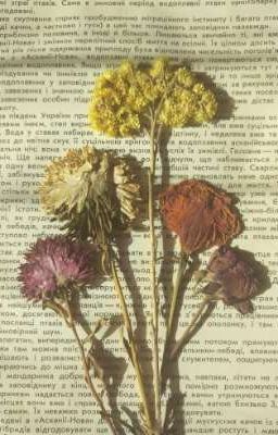 [GL] - Lá rụng về phía người