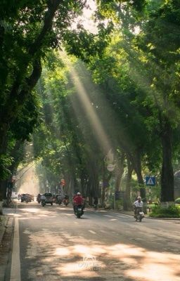 Góc thông báo truyện