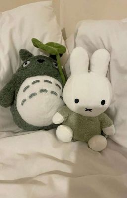 | Gtop | Busan's love story
