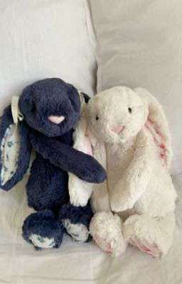 guon | không rõ ràng