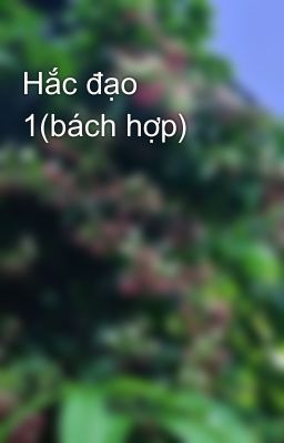 Hắc đạo 1(bách hợp)