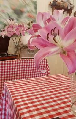 | Hải Nam x Negav | hải âu chấp cách phương trời xa, họa mi ríu rít lạc đàn