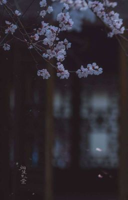 [Hải x Toàn] [END] Hạnh Phúc Là Khi Có Em(H+)