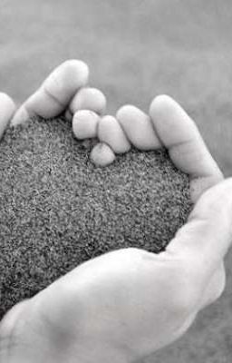 [Haikyuu] Marry to me again 