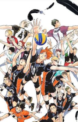 | haikyuu - reader | weekend!