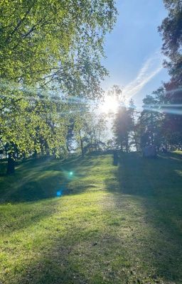 haikyuu | textfic | đôi gà bông