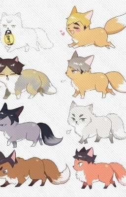[Haikyuu] Thần và người 