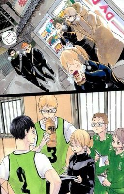「Haikyuu X Reader」