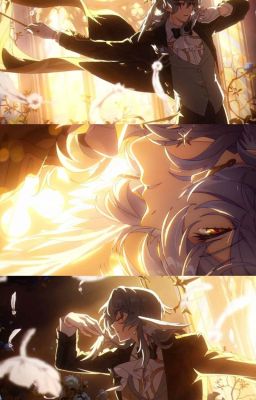 haikyuu x reader.  a perilous dear