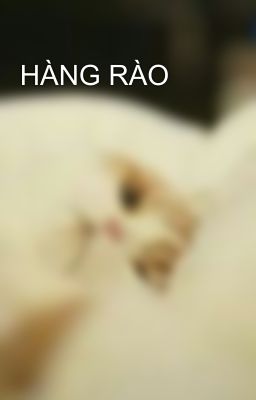 HÀNG RÀO