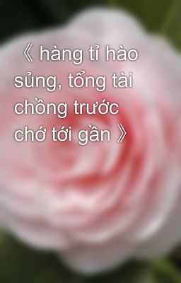 《 hàng tỉ hào sủng, tổng tài chồng trước chớ tới gần 》