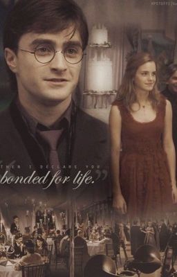 [Harmony fic] Nhật ký của Voldemort.