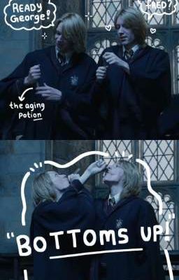 HarryPotter's boys x reader ( Oneshot) 