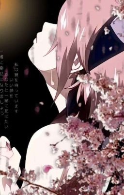 [ Haruno Sakura ] Nơi Ánh sáng Không Chạm Tới.