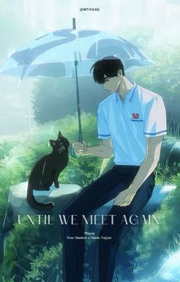 Haye| Until we meet again