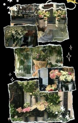 Hẹn hò giữa những đoá hoa