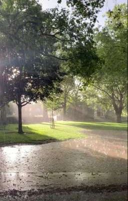 Hẹn Ngày Mưa Nắng 