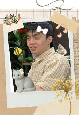 hieugav| Ảnh 