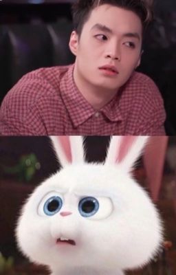 Hieugav( Chuyển ver) Nuôi dưỡng cục bông nhỏ đáng yêu