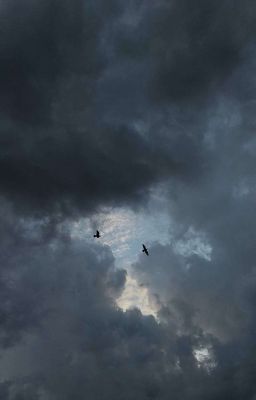 hieusol | ái | người điên