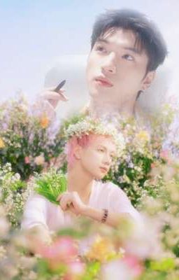 [ HiếuSol ] Mùa hoa trong ảo mộng｡⁠*ﾟ✿