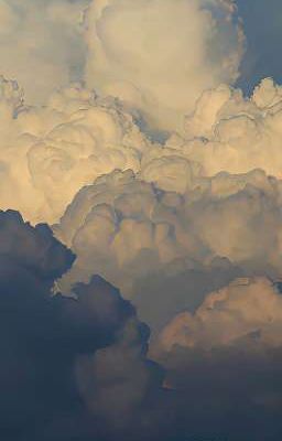 hieusol | oe oe | cuộn len