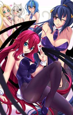 High School DxD: The Unexpected Harem