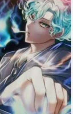 hiha des