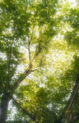 hirosei | [Trans] Ẩn tình hiện hữu