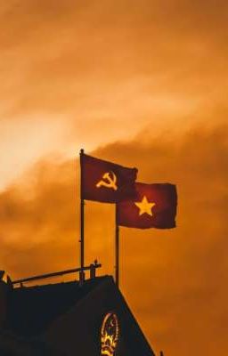 Hoà bình có đẹp không? Mẹ ơi?