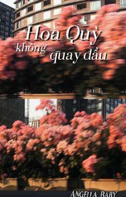 Hoa Quỳ Không Quay Đầu