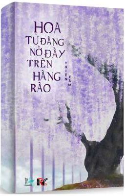 Hoa Tử Đằng Nở Đầy Trên Hàng Rào - Thiên Tầm