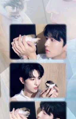 Hoa Vịnh× Thịnh Thiếu Du| Trái Tim của nam phụ