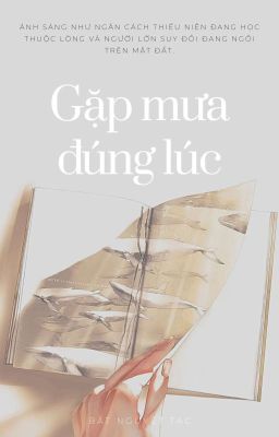 [Hoàn Đam Mỹ] Gặp Mưa Đúng Lúc