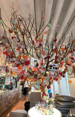 [HOÀN] Fanfic Triển x Thừa: Giấy ghi chú tâm nguyện