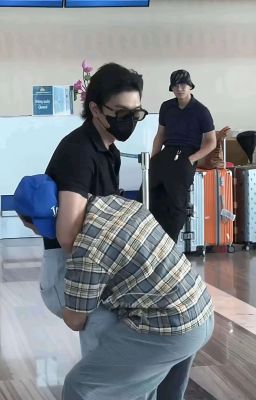 [Hoàng/Khang->Huy] Mèo