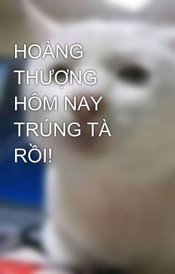 HOÀNG THƯỢNG HÔM NAY TRÚNG TÀ RỒI!