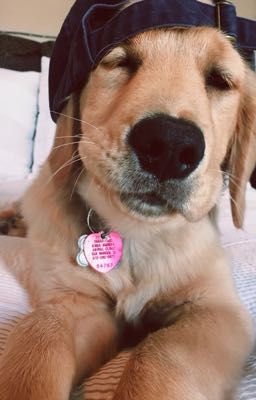 [HoangKhang] Cơn Thịnh Nộ