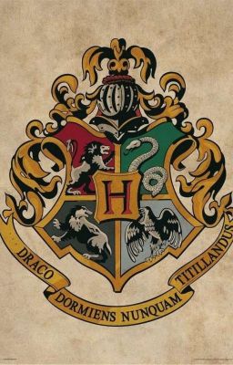 Hogwarts - truyện chưa kể 