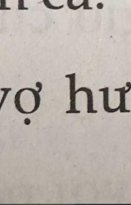 hôn nhân ⋆˚꩜ .ᐟ domicmasterd