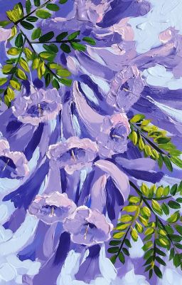 hoonjake | khi phượng tím chưa tàn