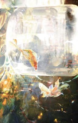 hoonjames | expection