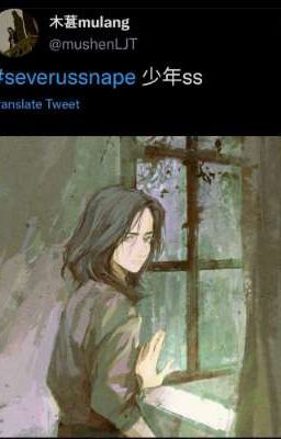 How To Help James Date Severus Snape?