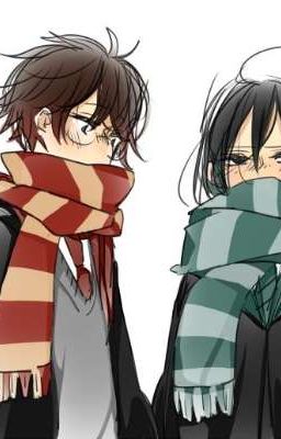 [HP/JPSS] [Oneshot] Phòng Tắm Và Món Quà